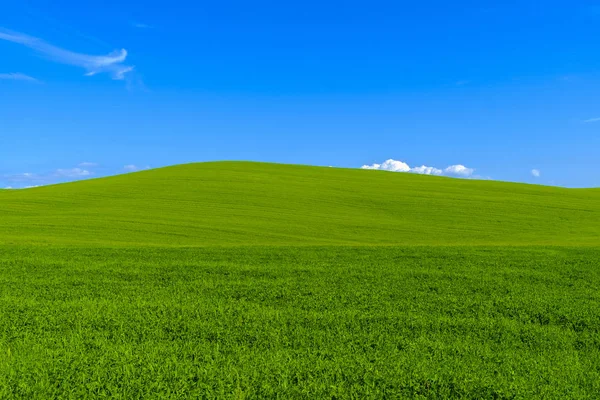 Landschaft um Pienza in der Toskana — Stockfoto