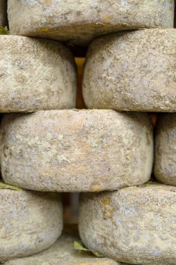 Pienza Toskana Pecorino peyniri 