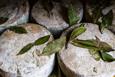 Pienza Toskana Pecorino peyniri 