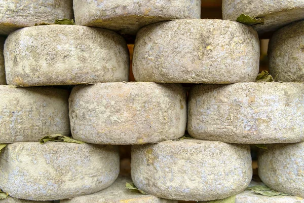 皮恩扎托斯卡纳的羊奶酪 — 图库照片