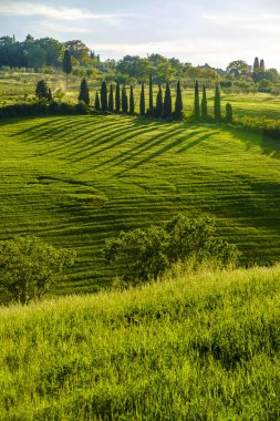 Pienza Tuscany etrafında kırsal peyzaj 