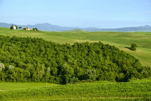 Vidéki táj Toszkána Pienza — Stock Fotó