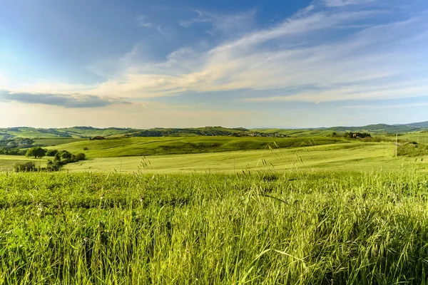 Pienza Tuscany etrafında kırsal peyzaj 