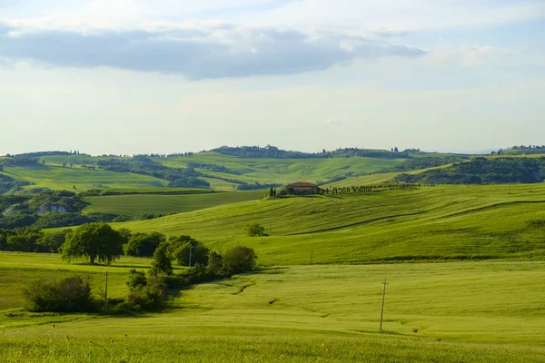 Pienza Tuscany etrafında kırsal peyzaj 