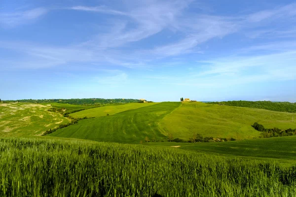 Countryside krajobraz wokół Pienza Tuscany — Zdjęcie stockowe