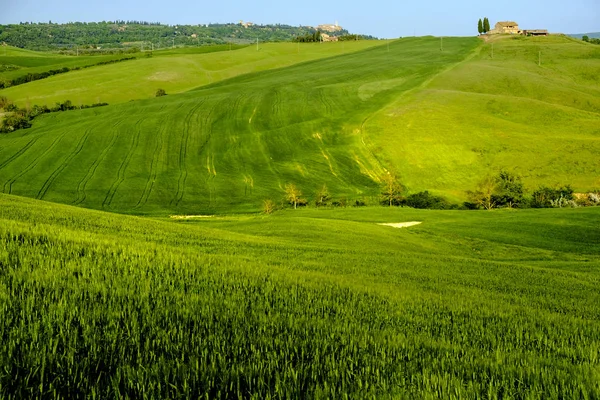 Platteland landschap rond Pienza Tuscany — Stockfoto