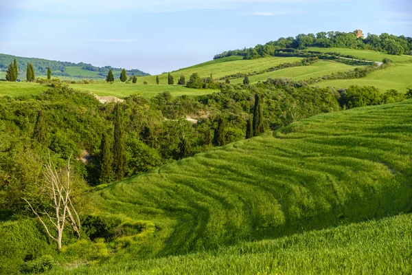 Platteland landschap rond Pienza Tuscany — Stockfoto