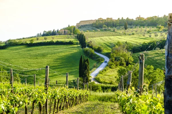 Countryside landscape around Pienza Tuscany — Stock Photo, Image