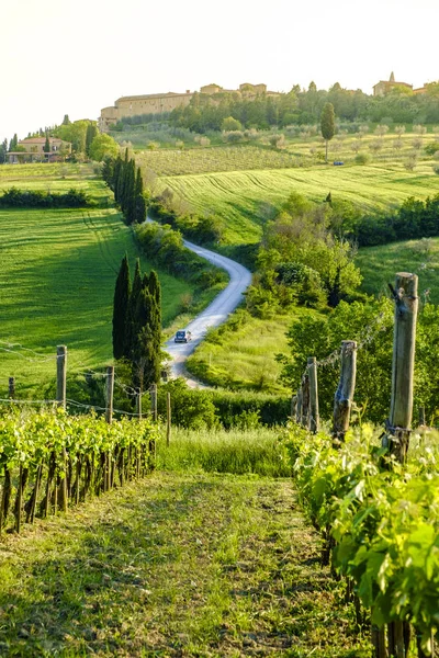 Countryside landscape around Pienza Tuscany — Stock Photo, Image