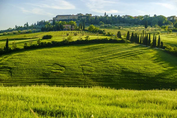 Venkovské krajiny kolem Pienza Toskánsko — Stock fotografie