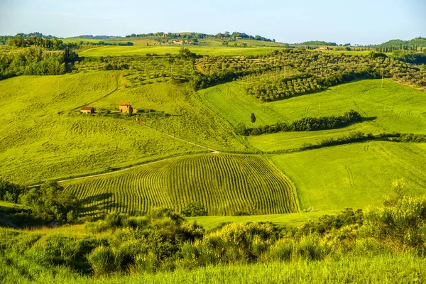 Vidéki táj Toszkána Pienza — Stock Fotó