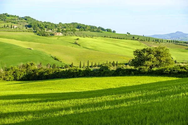 Εξοχικό τοπίο γύρω από την Τοσκάνη Pienza — Φωτογραφία Αρχείου