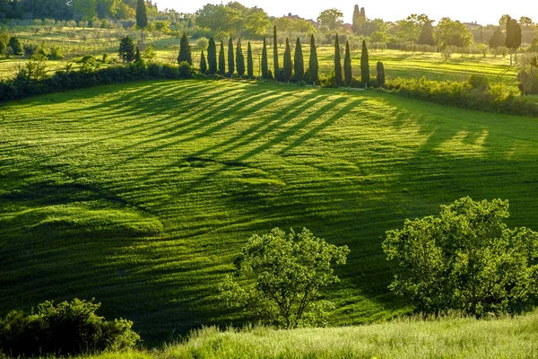 Venkovské krajiny kolem Pienza Toskánsko — Stock fotografie