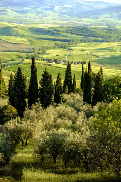 Platteland landschap rond Pienza Tuscany — Stockfoto