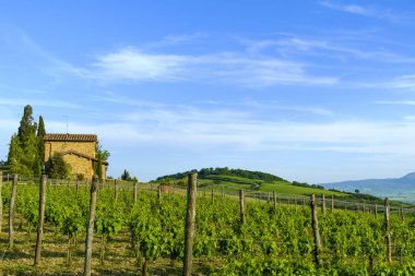 San Quirico d'Orcia çevresindeki kırsal Toskana bölgesinin en güzel Ortaçağ şehirlerinden biridir 