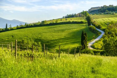 Pienza Tuscany etrafında kırsal peyzaj 