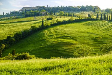 Pienza Tuscany etrafında kırsal peyzaj 