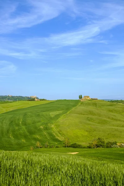 Countryside krajobraz wokół Pienza Tuscany — Zdjęcie stockowe