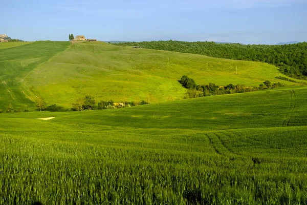 Paisagem rural em torno de Pienza Toscana — Fotografia de Stock