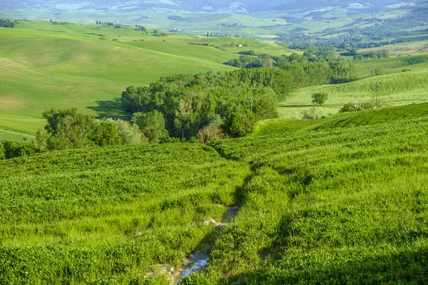 Countryside krajobraz wokół Pienza Tuscany — Zdjęcie stockowe