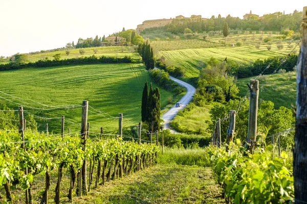 Paisaje rural alrededor de Pienza Toscana — Foto de Stock