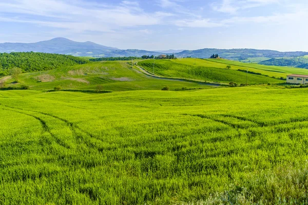 Paesaggio di campagna intorno a Pienza Toscana — Foto Stock