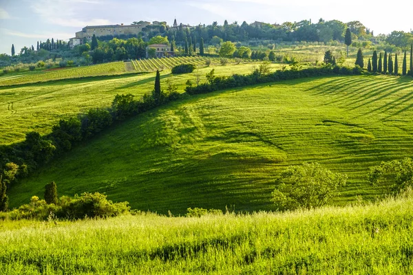 Venkovské krajiny kolem Pienza Toskánsko — Stock fotografie