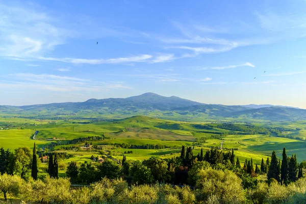 Краєвид сільській місцевості довкола Тоскани Піенца — стокове фото
