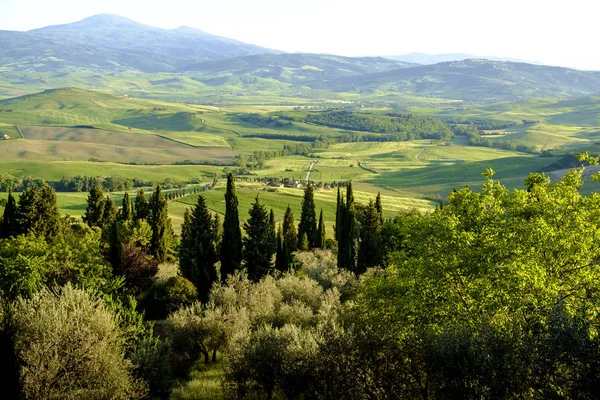 Venkovské krajiny kolem Pienza Toskánsko — Stock fotografie