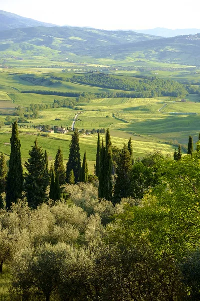 Platteland landschap rond Pienza Tuscany — Stockfoto