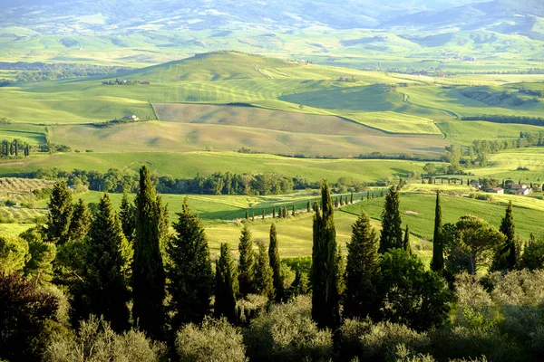 Paisaje rural alrededor de Pienza Toscana — Foto de Stock
