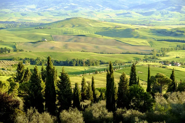 Platteland landschap rond Pienza Tuscany — Stockfoto