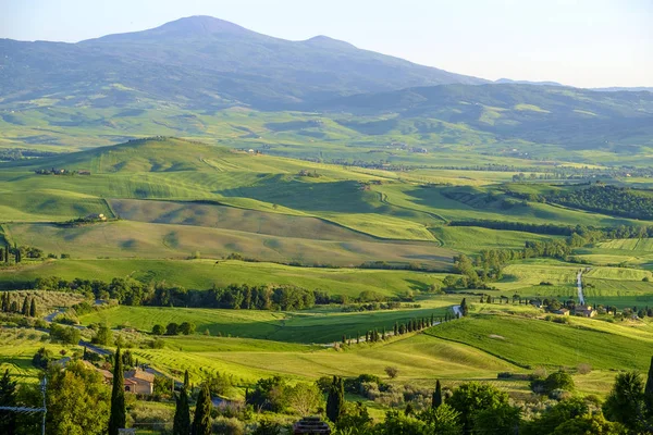 ピエンツァ トスカーナの周りの田舎風景 — ストック写真