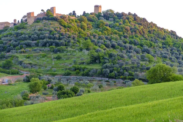 Krajobraz wokół Montalcino Tuscany — Zdjęcie stockowe
