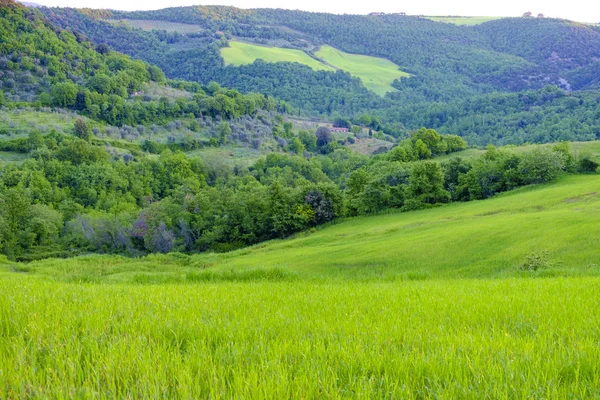 Paesaggio intorno a Montalcino Toscana — Foto Stock