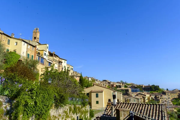 Visa av Montalcino Toscana — Stockfoto