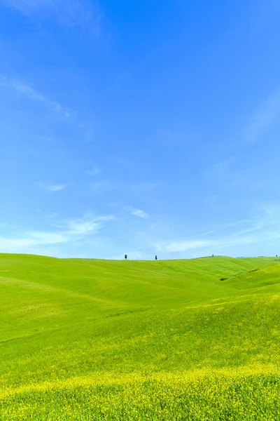 Kırsal manzara Toskana İtalya — Stok fotoğraf