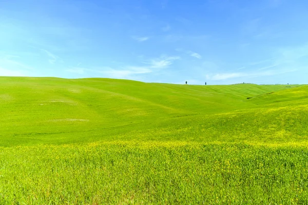 Paesaggio di campagna in Toscana Italia — Foto Stock