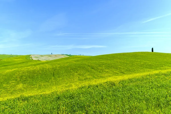 Landschaft in der Toskana Italien — Stockfoto