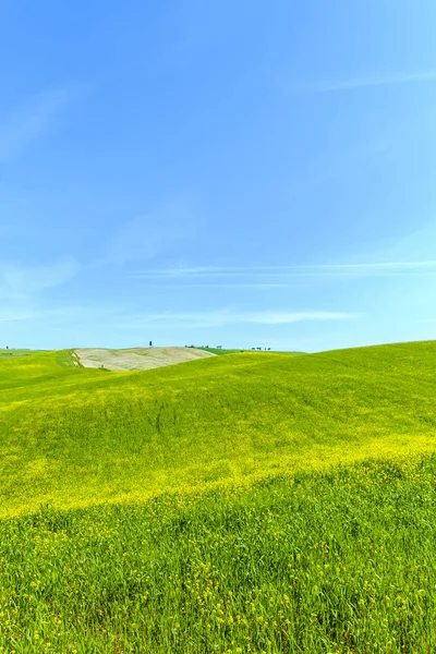 Paesaggio di campagna in Toscana Italia — Foto Stock