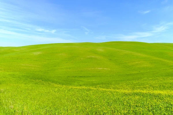 Paisaje rural en Toscana Italia Imagen de stock