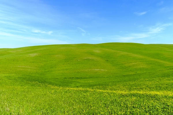 Paisaje rural en Toscana Italia Fotos de stock libres de derechos