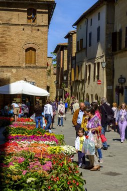 Pienza Köyü bitki ve çiçek sokak pazarında 