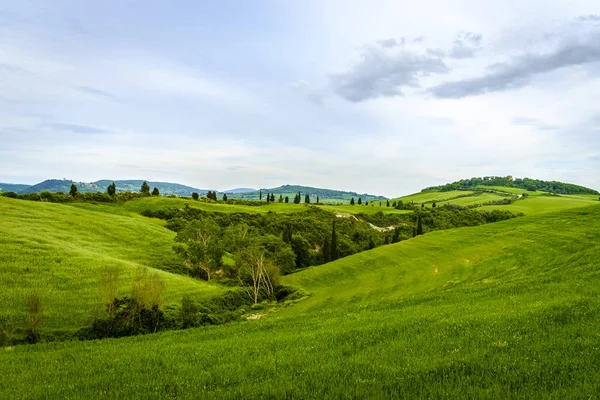 Scenery near to Pienza, Tuscany. The area is part of the Val d'O — Stock Photo, Image