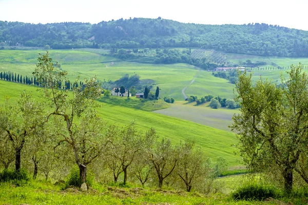 Paesaggio vicino a Montepulciano, Toscana. La zona fa parte del — Foto Stock