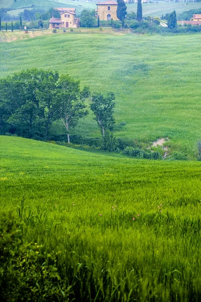 Dekoracje w pobliżu Montepulciano, Toskania. Obszar jest częścią — Zdjęcie stockowe