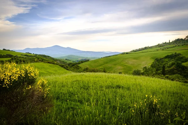 Paesaggio vicino a Pienza, Toscana. La zona fa parte della Val d'O — Foto Stock