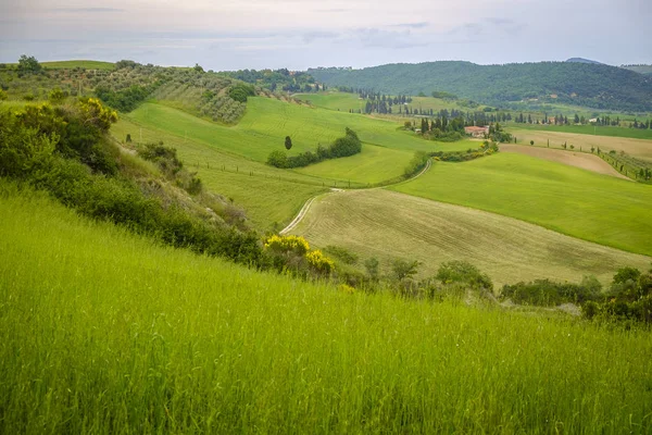 Landschap in de buurt van Pienza, Toscane. Het gebied is onderdeel van de Val d'O — Stockfoto