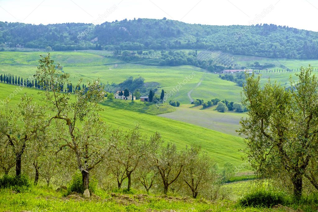 Scenery near to Montepulciano, Tuscany. The area is part of the 