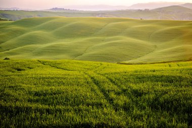 Val d'Orcia İtalya'nın Tuscany ili